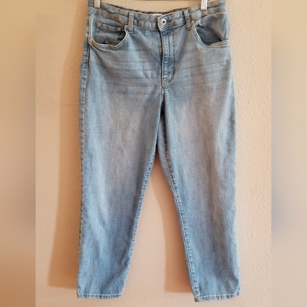 Ella Moss juniors denim jean hight waist straight leg size 12/31